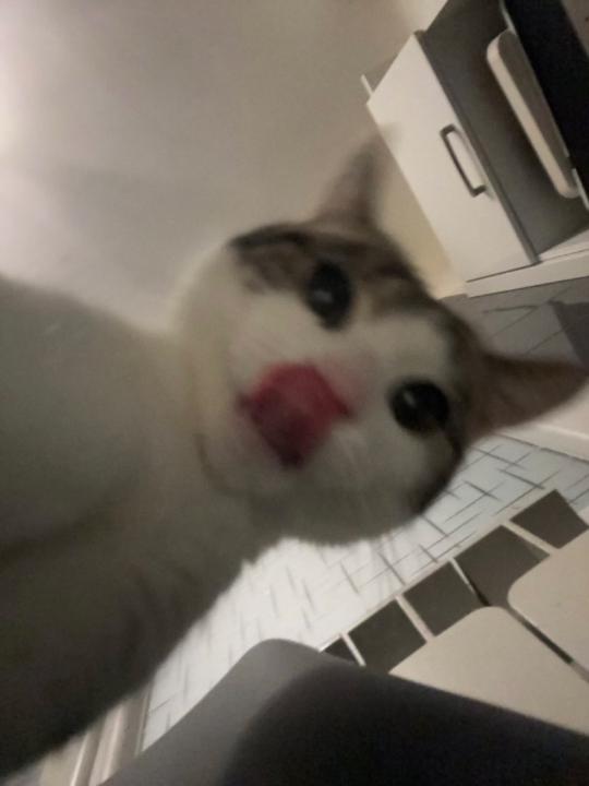 E P