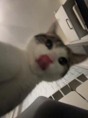 E P