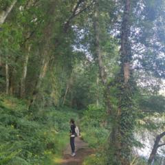 Selene Ceprián Moreno