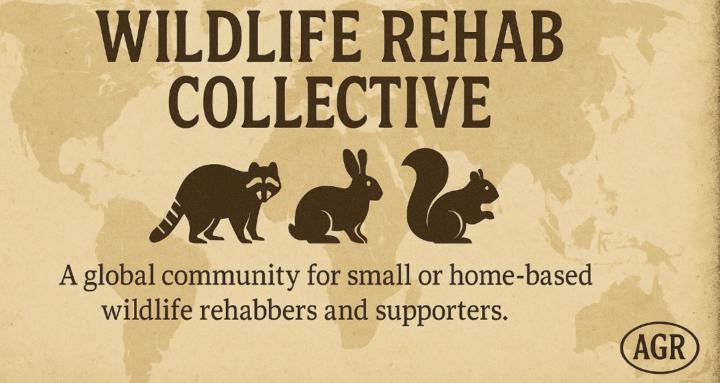 Wildlife Rehab Collective 