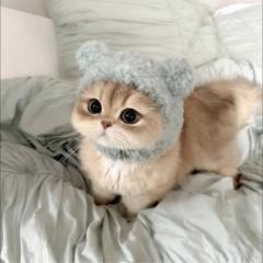 林 慧玲