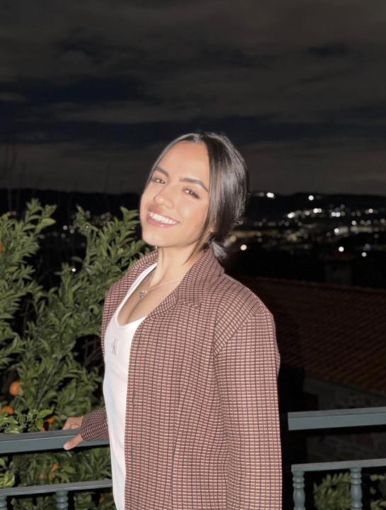 Adriana Rafaela Martins Ramos da Silva