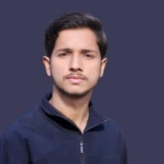 Hamid Saleem
