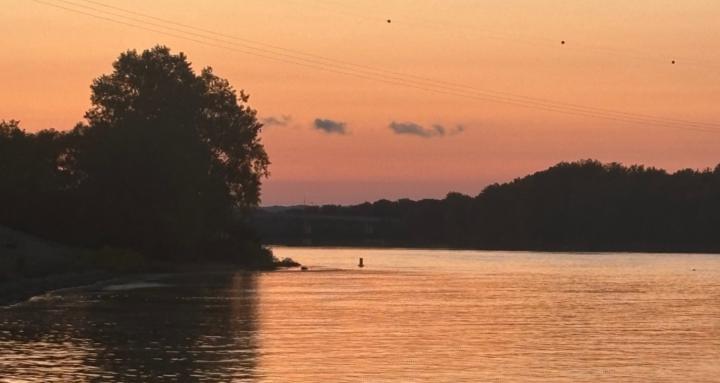 Mental Health Coping School