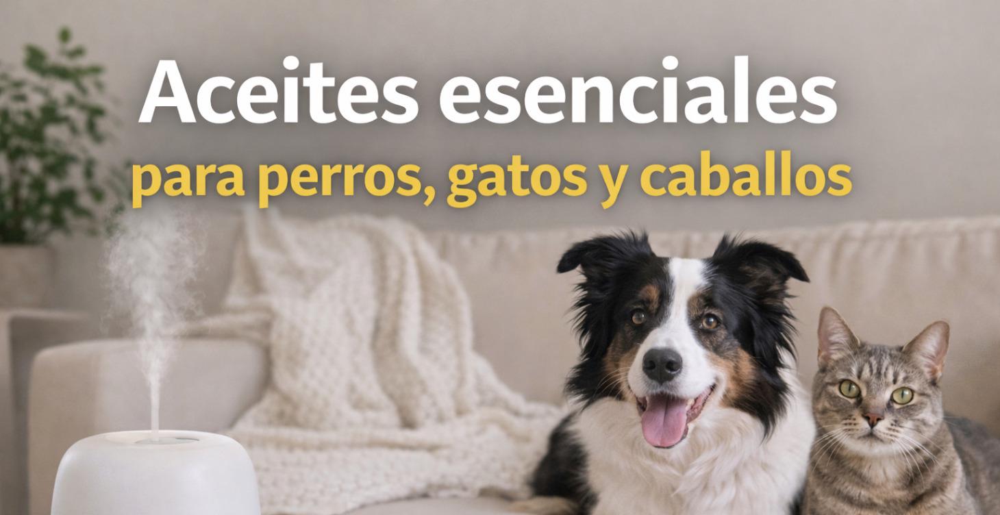Aceites esenciales para perros, gatos y caballos