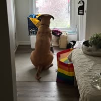 Sandy Pawluk