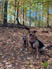 Louisa Stieda-Sanne