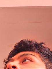 Luis Fernando Flores