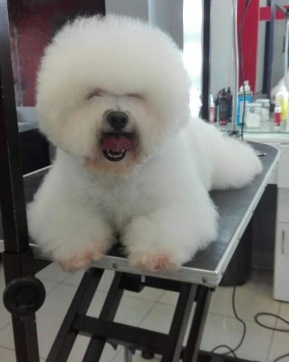 Paulo Pinares Huamani