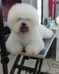 Paulo Pinares Huamani