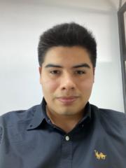 Luis Hector Maita Llerena