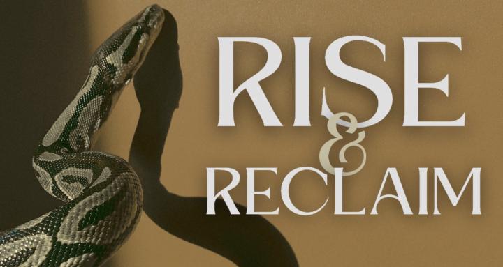 The Reclamation Guide