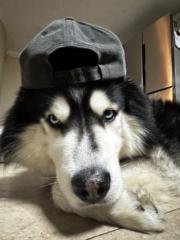 WillanBetancourt Granda