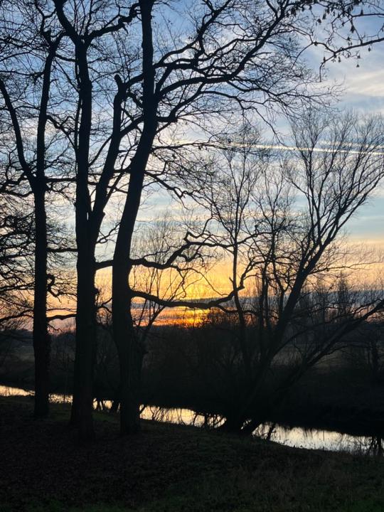 Sandra Knauer-Köhler