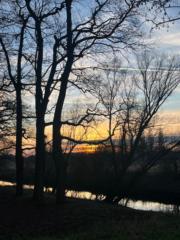 Sandra Knauer-Köhler