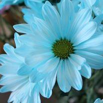 Margarita Saldarriaga