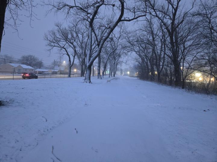 🧶 Quick Monday Check-In