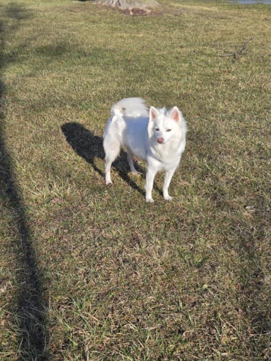 🧶 A Little Reminder for My Fellow Makers