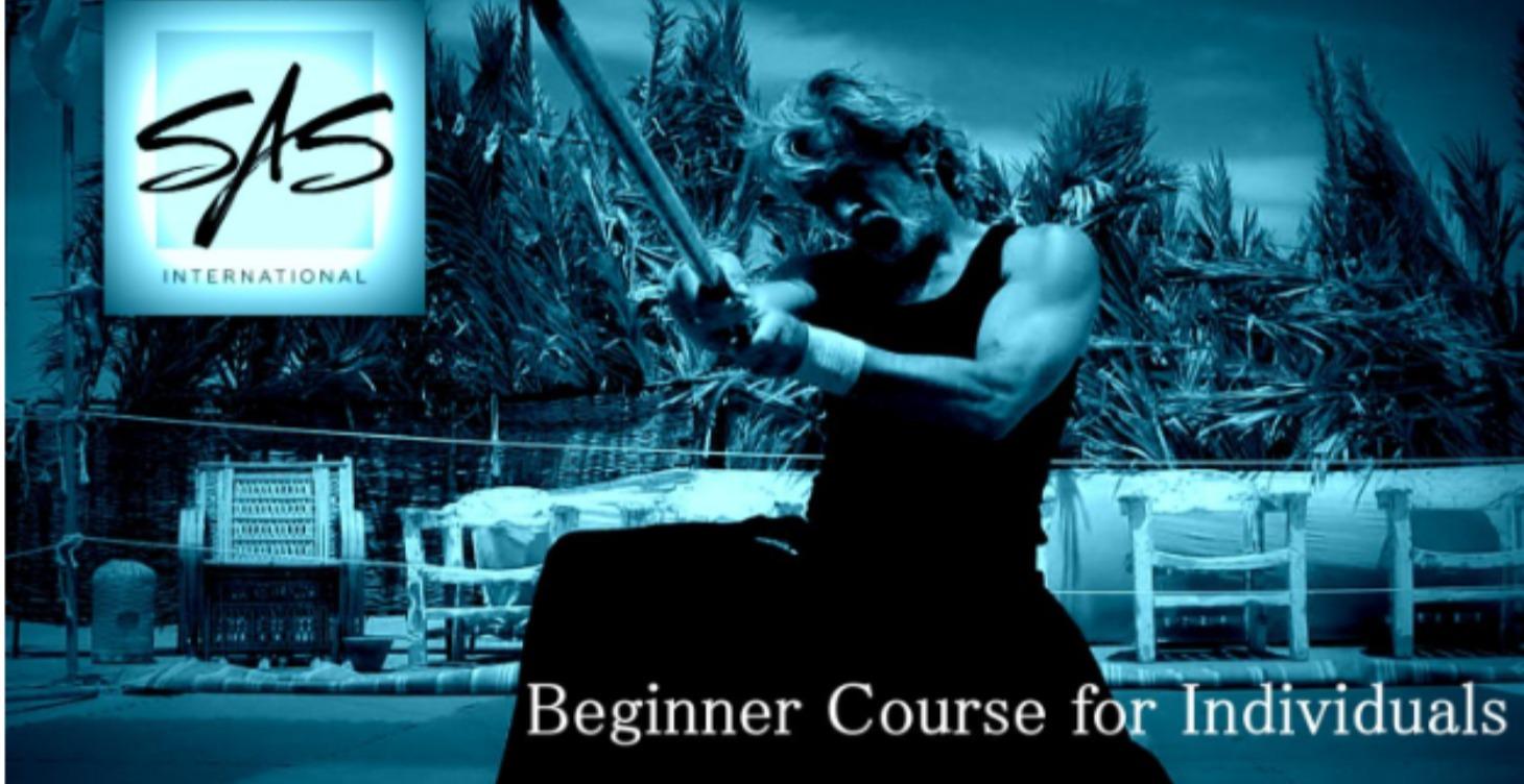 SAS Beginner Course