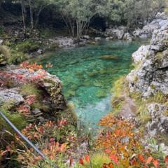 Andora Rruka-Stanton