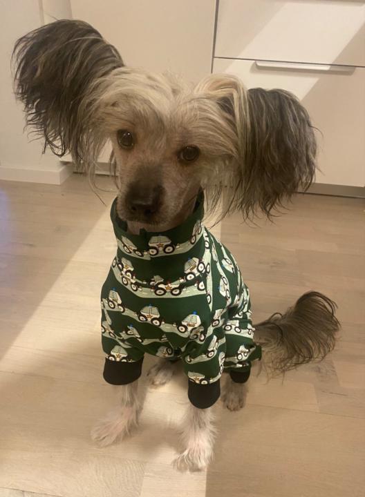 Madeleine Wickström