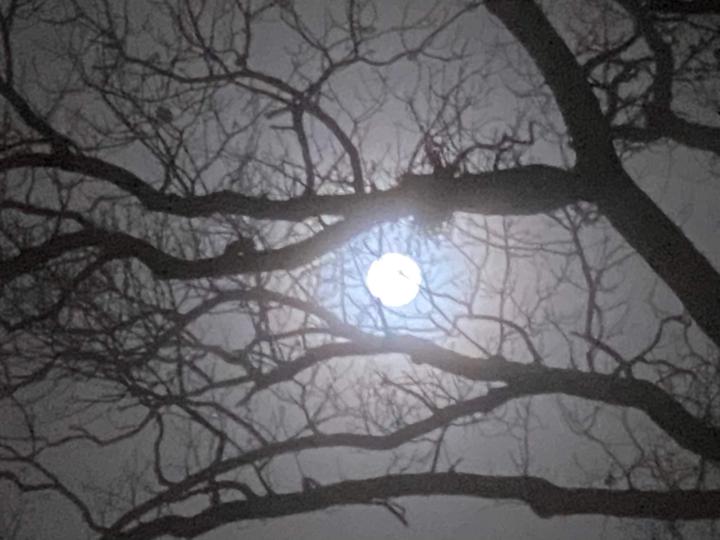 Monday Devotional 11/3/2025