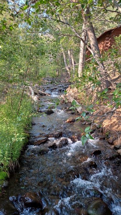 Thursday Prayer 11/20/2025