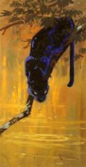 Kamron Safford