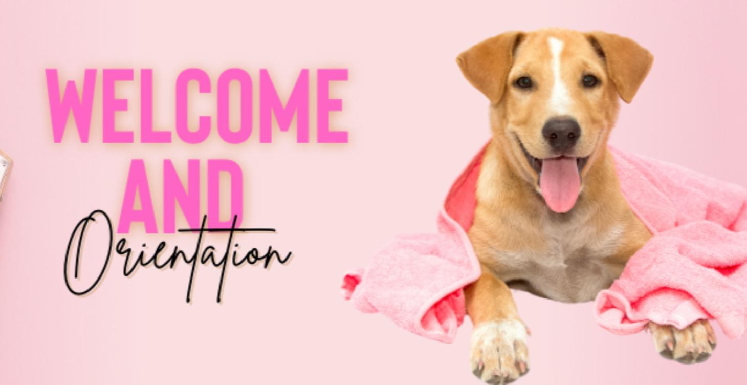 Introduction & Welcome
