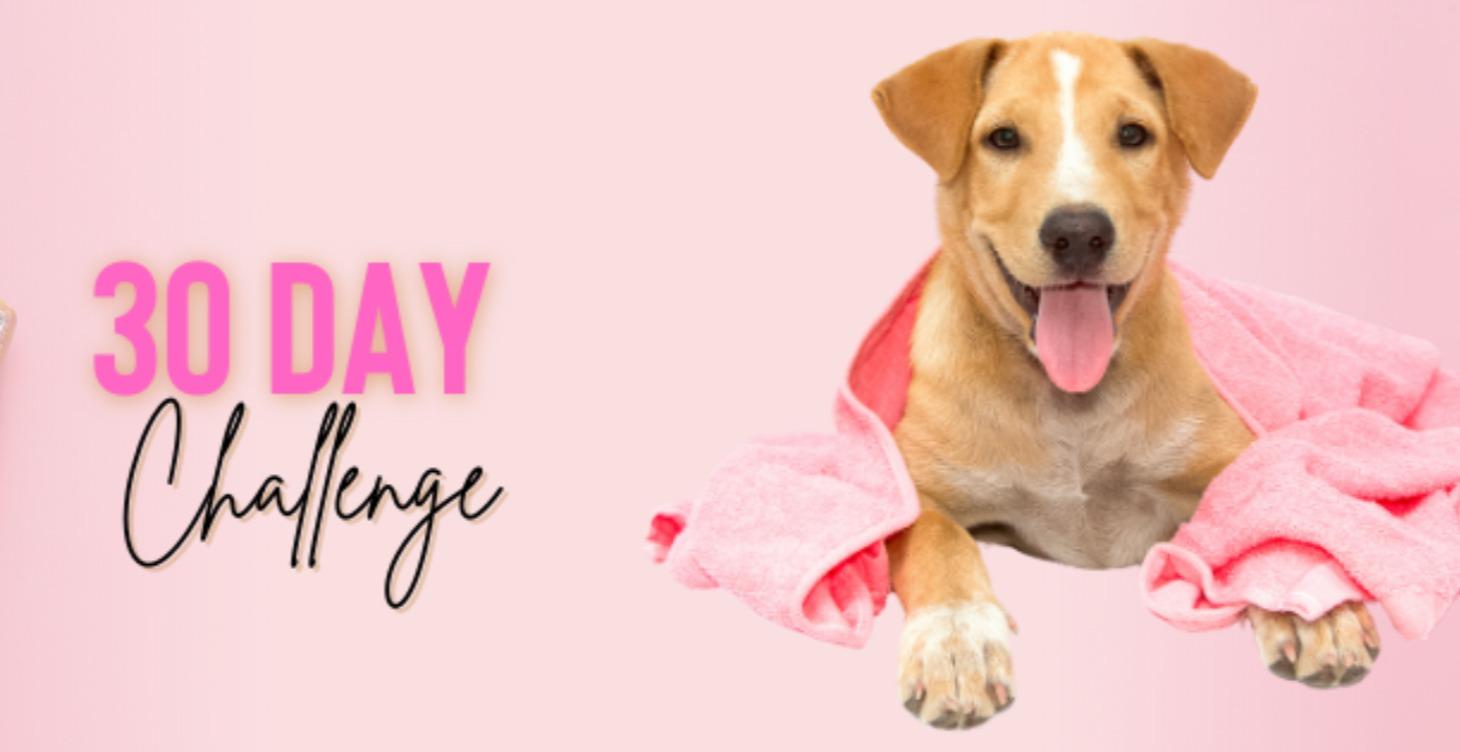 30 Day Social Media Challenge