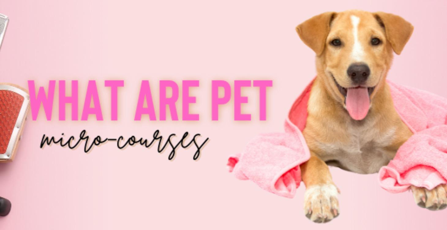 Pet Micro Courses and Guides