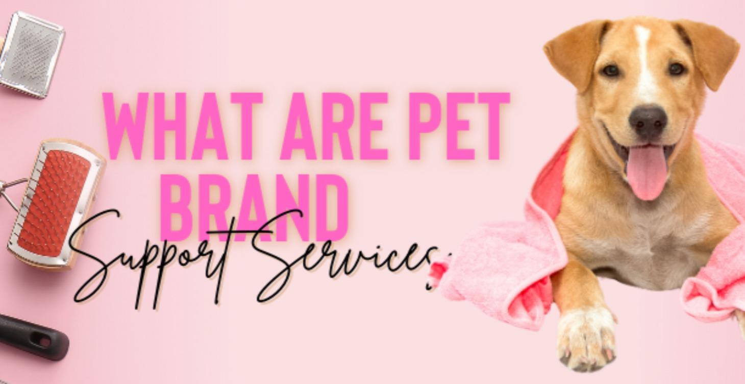 Monetization in Brand Support Services