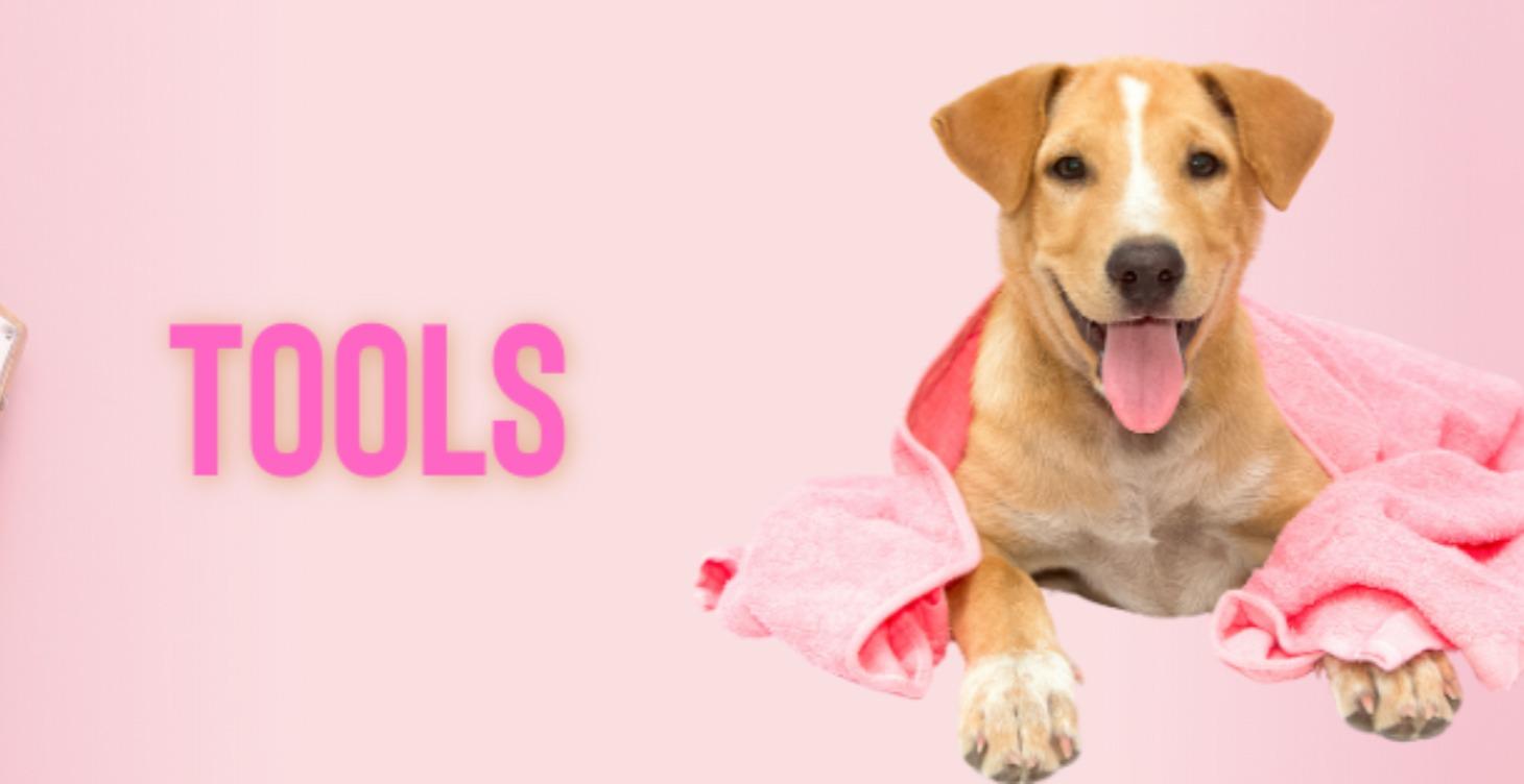 Tools & AI