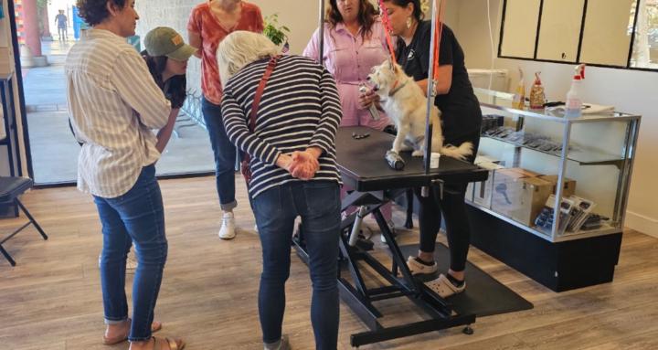One Stop Pet Academy