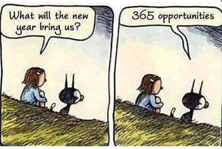 365 Opportunities ....