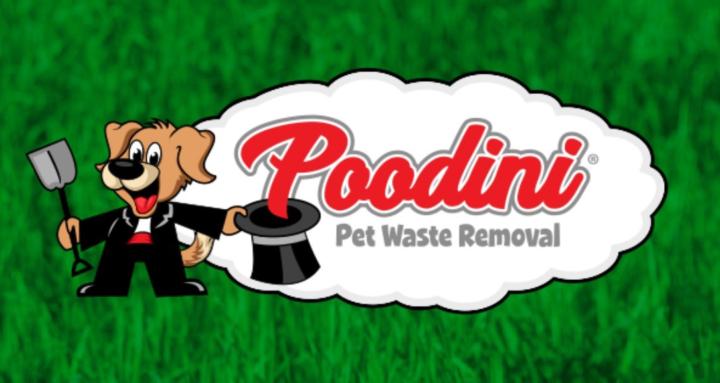 Poodini University