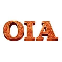 Support -The Online Income Academy