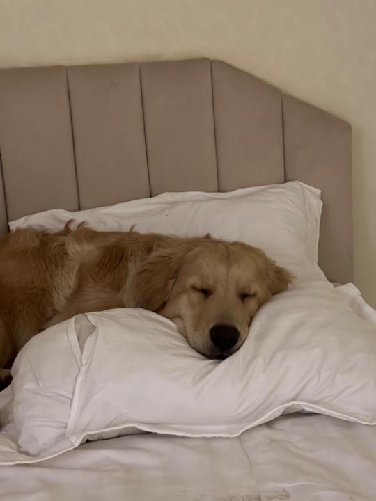 Оюундарь Оюунбилэг