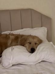 Оюундарь Оюунбилэг