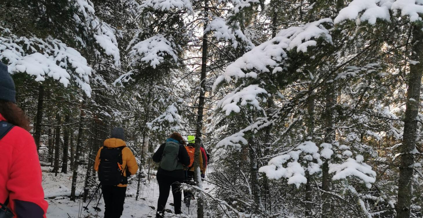 🌲 # 1: The Trailhead: Adventurer Essentials