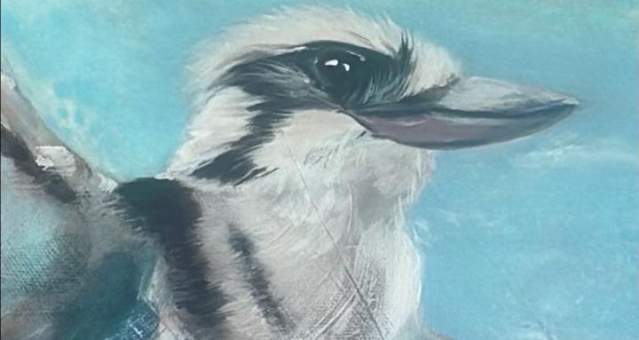 Chaos to Calm Collective 