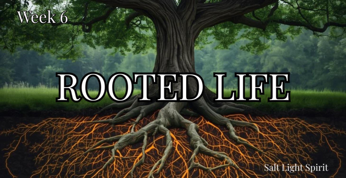 Week 6 - The Path to a Blessed Life