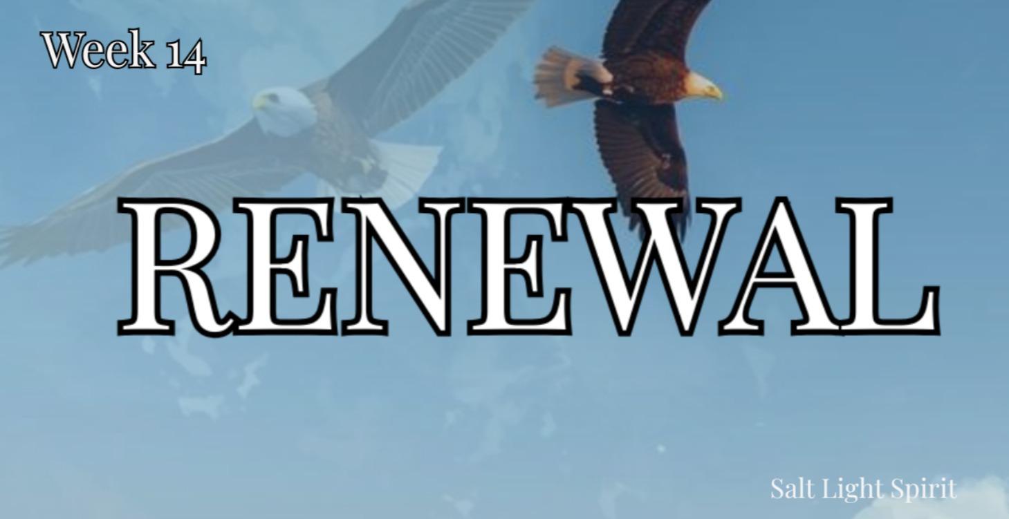 Week 14 — Renewed Strength