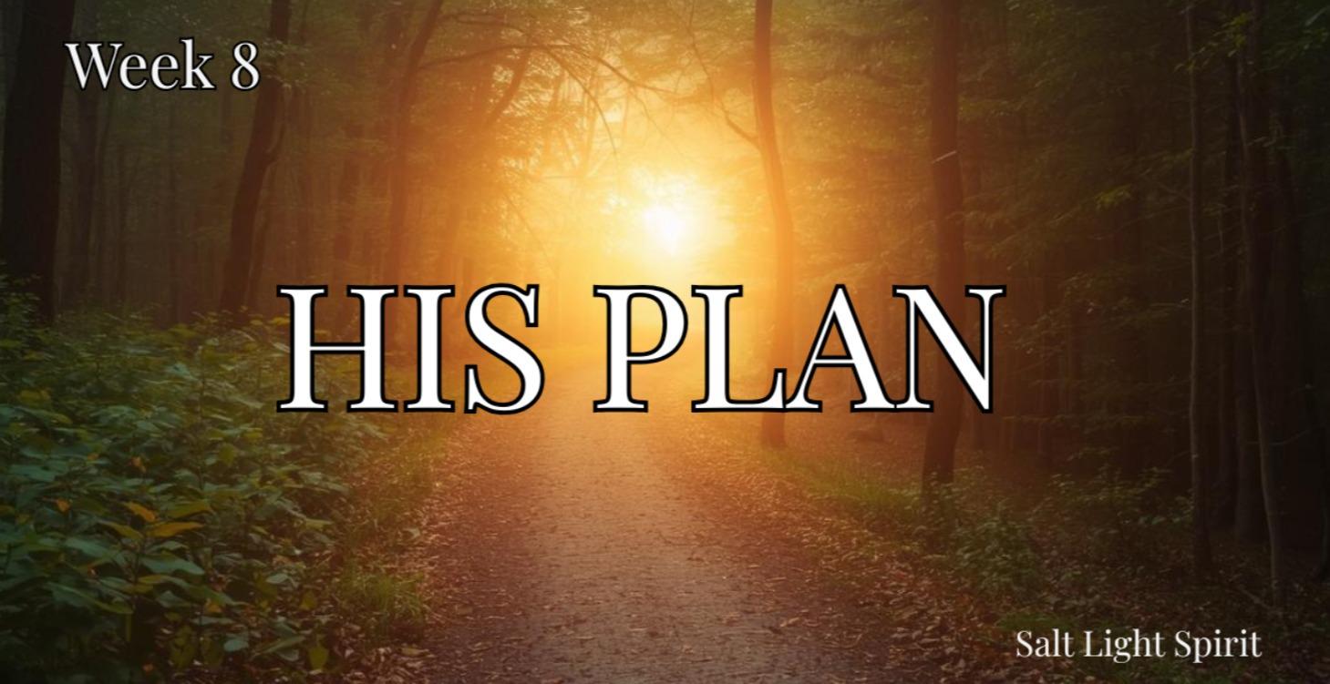 Week 8 — God’s Perfect Plan