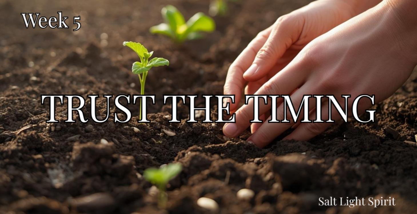 Week 5 - God’s Perfect Timing in Every Season