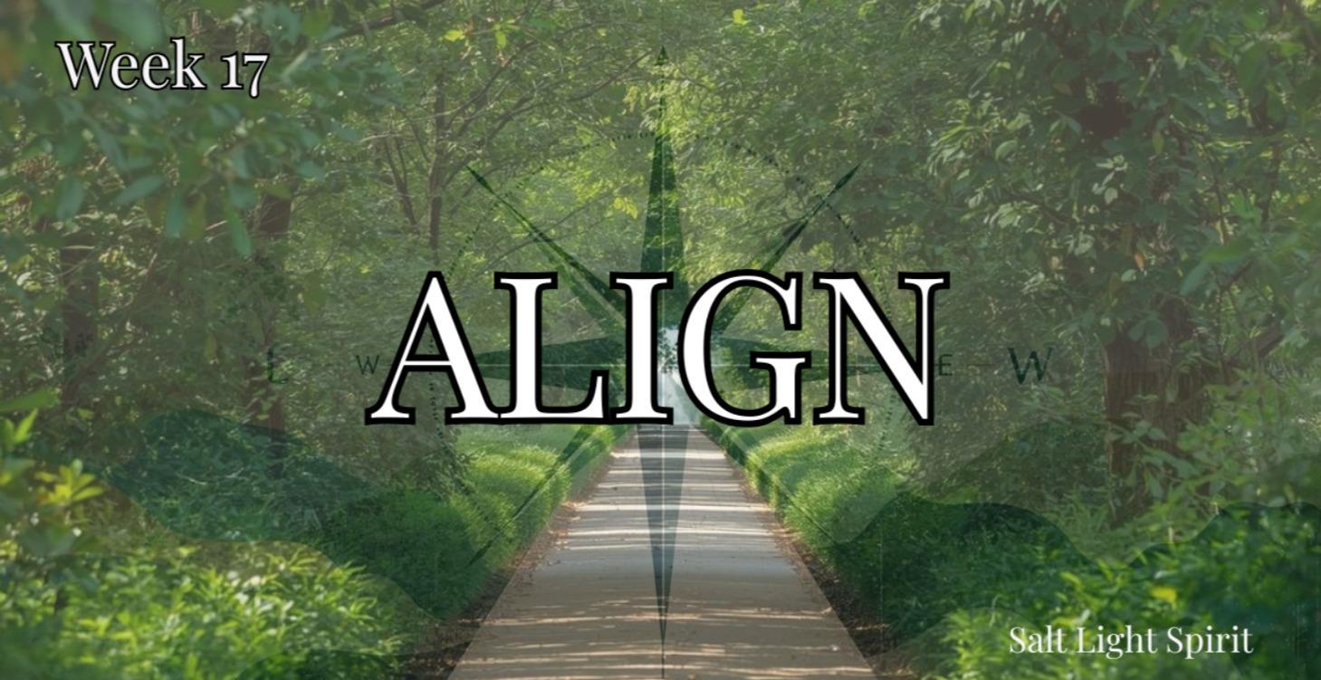 Week 17 — Aligned Desires