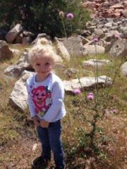 Savanna Rock