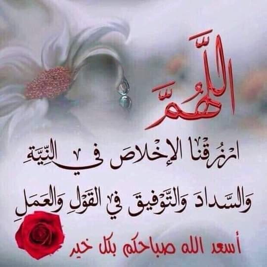اسراء طارق