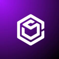 Sassuo Inc