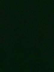 David Núñez Núñez